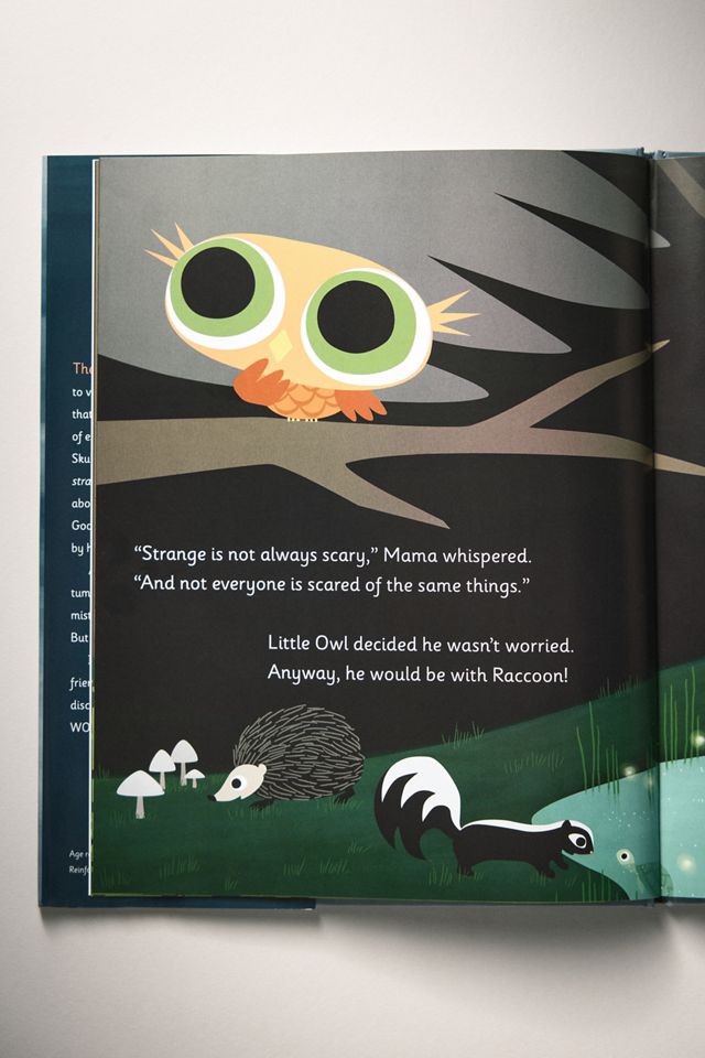 Little Owl's Fog Kids Hardcover Book