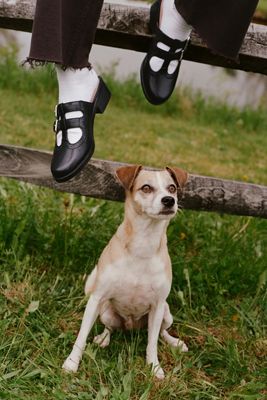 Women's Flats | Peep Toe, Boat Shoes & More | Anthropologie