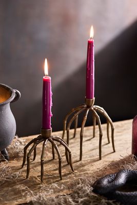 Bronze Spider Taper Holder