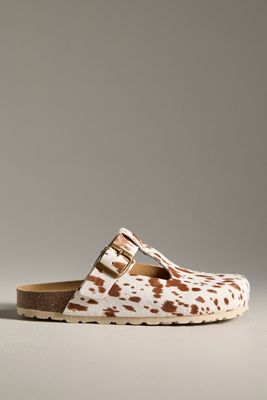 Intentionally Blank Parma Mules
