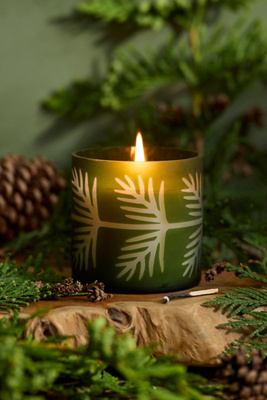 Illume Evergreen Glass Candle, Balsam + Cedar