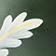 Handpainted Floral Glass Ornament