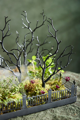 Terrain Concordville Spooky Branch Stakes, Set Of 5
