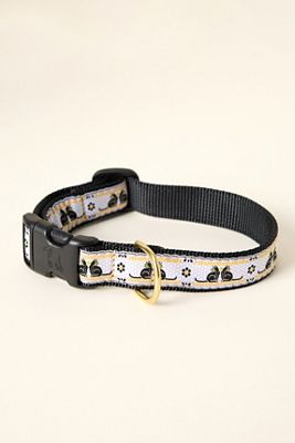 The Bistro Tile Dog Collar: Halloween Edition