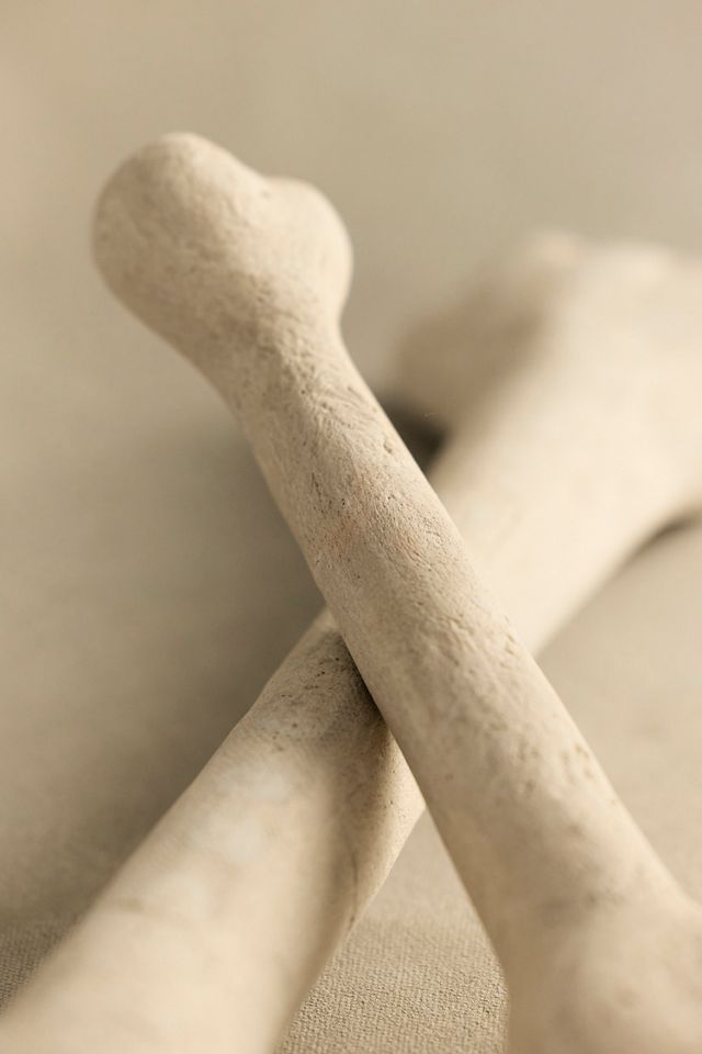 Bone Ceramic Fire Pit Accents, Set of 2 #2