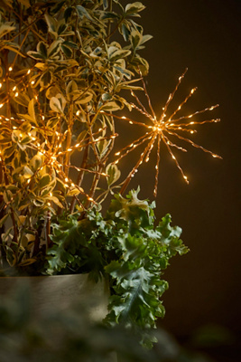 Terrain Stargazer Twinkling Supernova Stake Lights, Set Of 3 In Gold