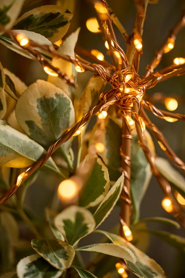 Stargazer Twinkling Supernova Stake Lights, Set of 3 #1