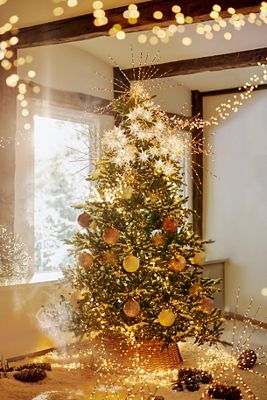 Stargazer Supernova Twinkling Hanging Light