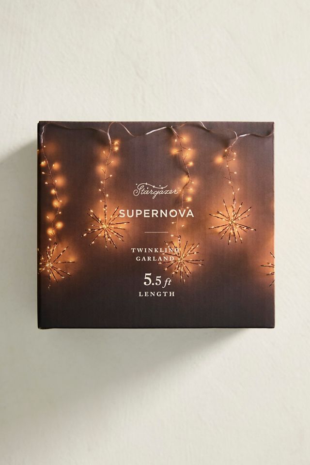 Stargazer Supernova Twinkling Light Garland #2