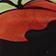 Calla Lily