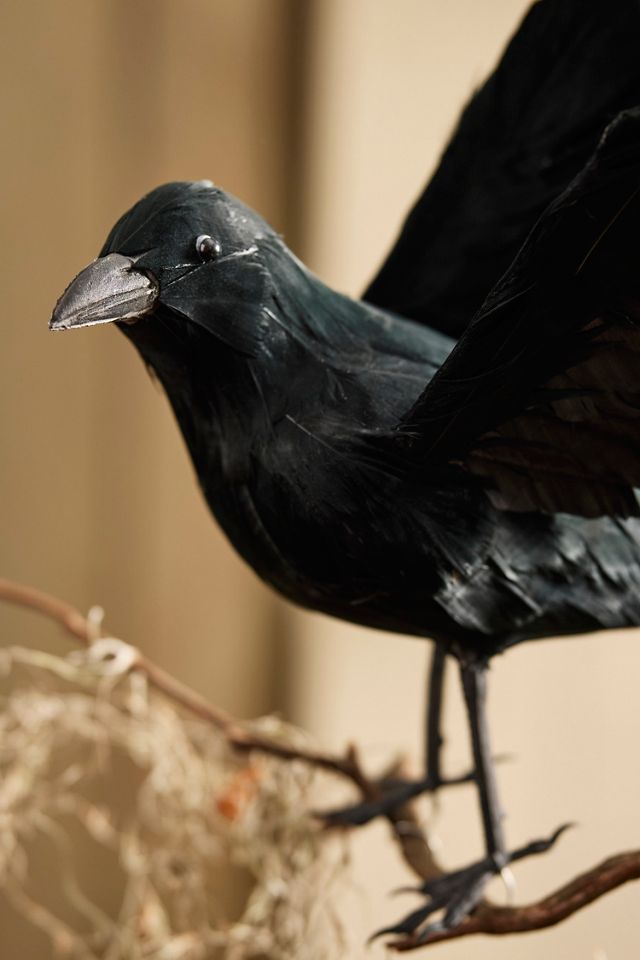 Feathered Crow Decorative Object #1