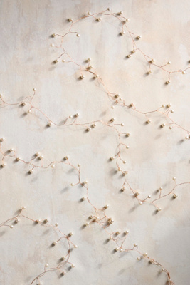 Terrain Pearl String Lights
