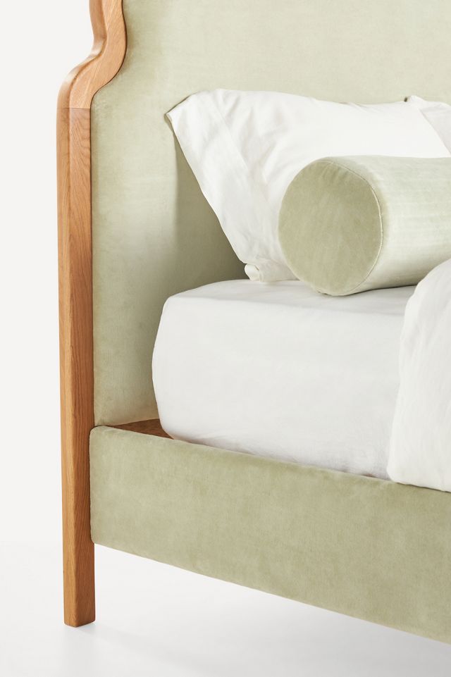 Pim Velvet Bed #5