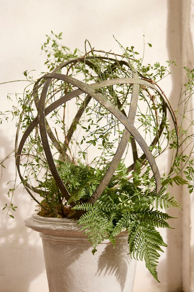 Iron Topiary Sphere #1