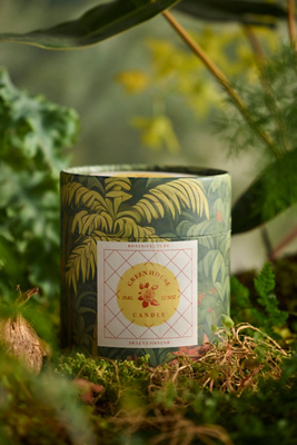 Botaniculture Home Fragrance Botaniculture Greenhouse Candle In Green