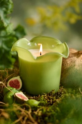 Botaniculture Greenhouse Candle