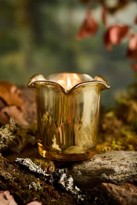 Botaniculture Fireside Candle
