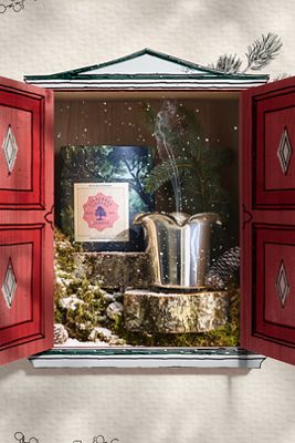 Botaniculture Evergreen Forest Candle