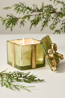 Anthropologie Woody Juniper & Cedar Glass Boxed Candle In Green