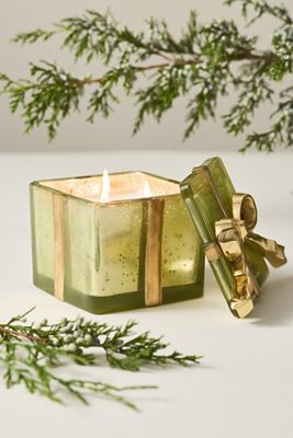 Woody Juniper & Cedar Glass Boxed Candle
