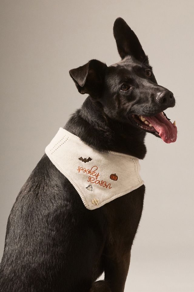 The Deluxe Pup Halloween Knit Pet Bandana #2