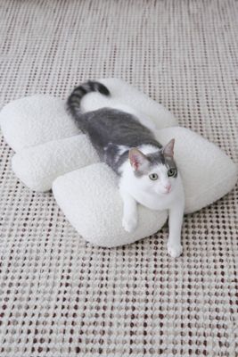 Catenary Pebble Pet Bed