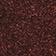Brown Pattern