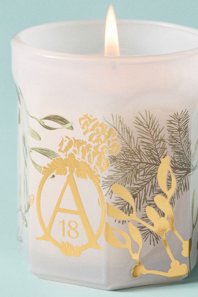 Apothecary 18 Fresh Mistletoe & Moss Boxed Glass Candle #2
