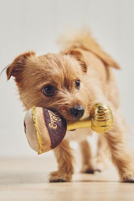 Haute Diggity Dog Beverage Dog Toy