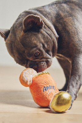 Beverage Dog Toy
