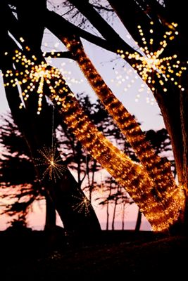 Stargazer Supernova Hanging Light
