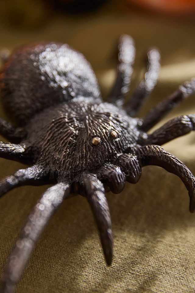 Cast Brass Spider #1