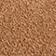 Pecan