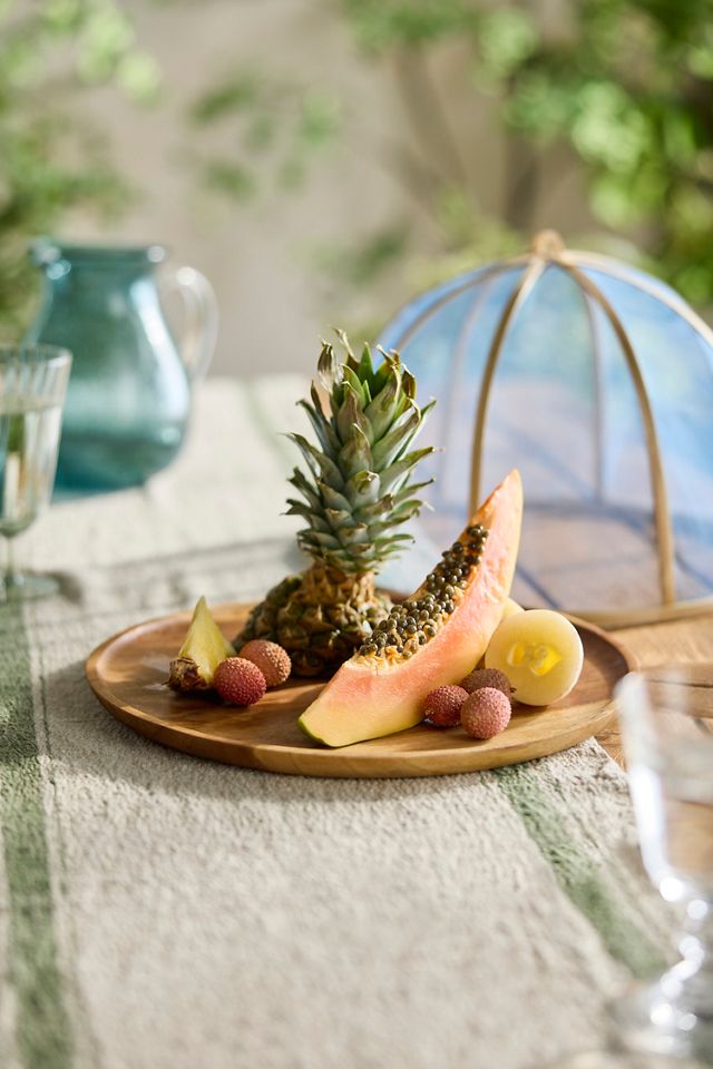 Mesh Dome Food Cover #1