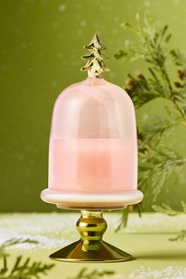 Bougie de Noël Woody Crisp Cedar sous cloche en verre