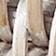 Whitewash