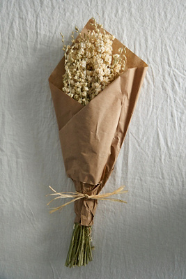Terrain Dried Larkspur Bunch