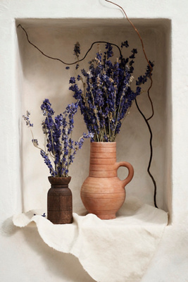 Anthropologie Dried Larkspur Bunch