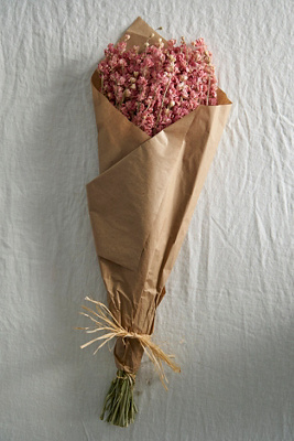 Anthropologie Dried Larkspur Bunch