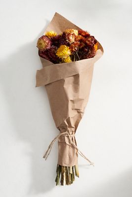 Preserved Strawflower Bunch