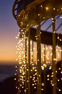 Stargazer Tendril Vine Lights