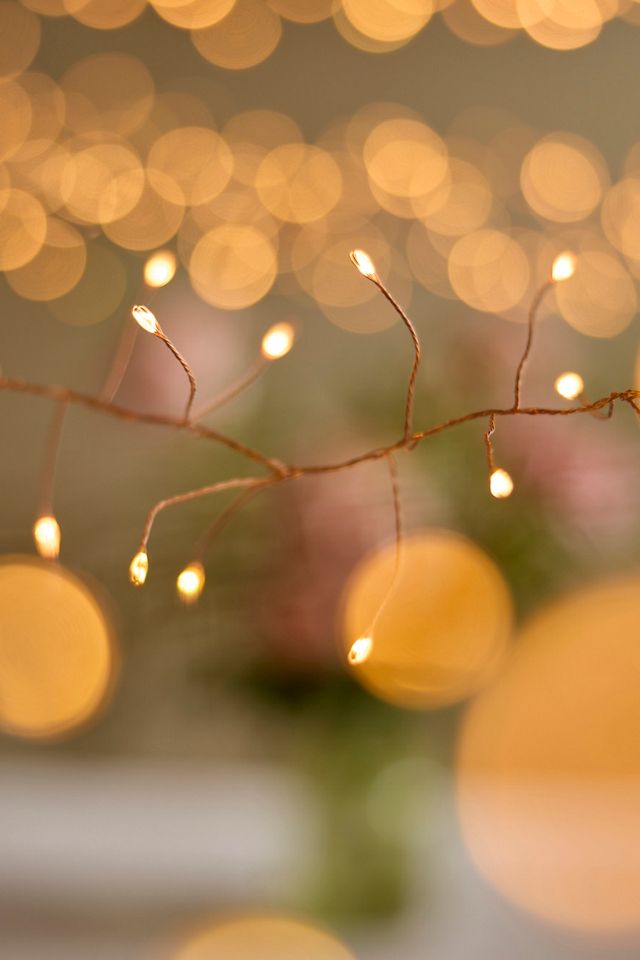 Stargazer Tendril Vine Lights #1