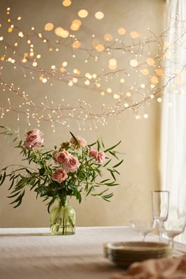 Stargazer Garden Lights, Set of 21 Bulbs, Fright Lights | Terrain