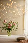 Stargazer Tendril Vine Lights