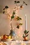 Stargazer Clear Beaded Light Garland