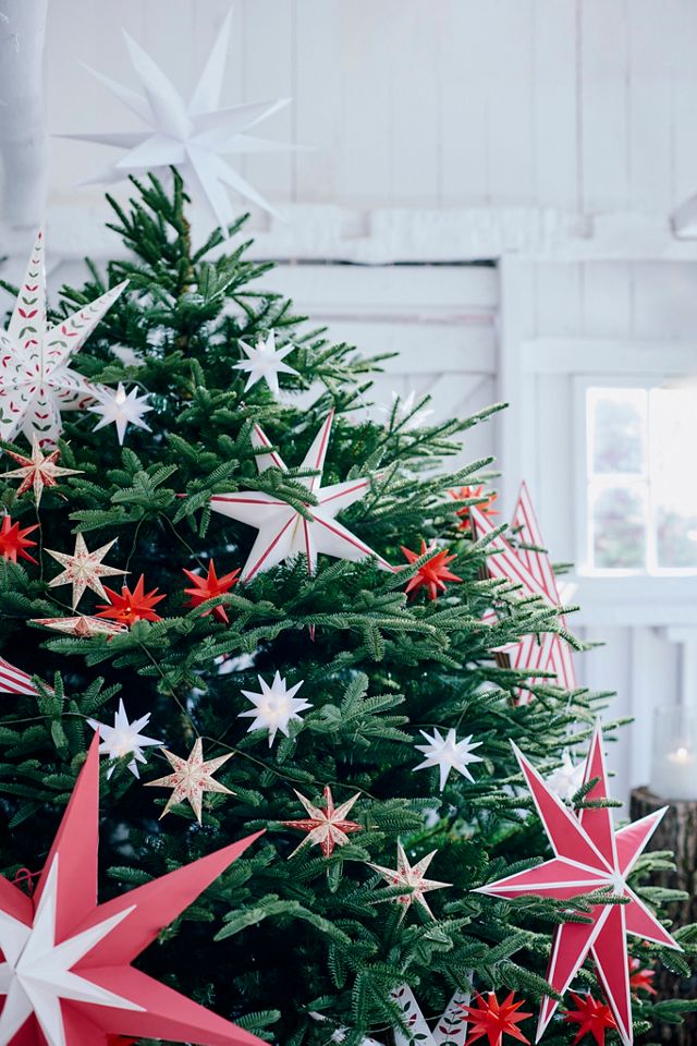 Terrain Stargazer Moravian Star Pendant Light #7
