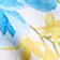 Blue Floral