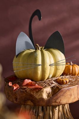 Black Cat Pumpkin Stake Set