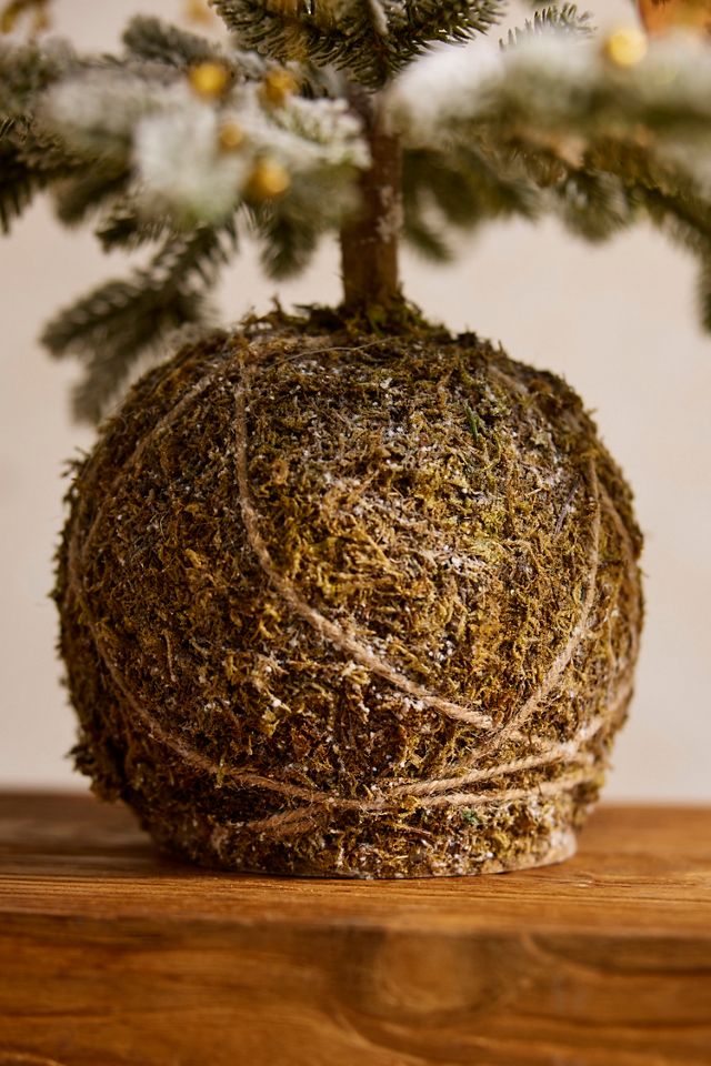 Faux Snowy Moss Ball Fir Tree, 40” #3