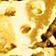 Gold/Pearl